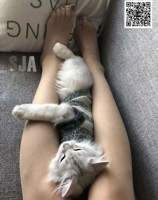 theheartkillers泰剧在线观看